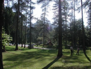 Ambientato In Uno Splendido Bosco